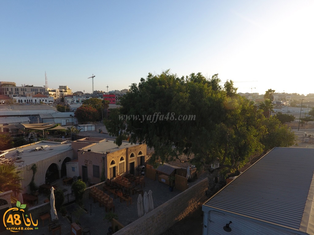 yaffa train  (12).jpg.jpg